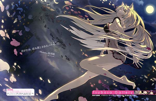 物语系列女主角本 其一 羽川翼