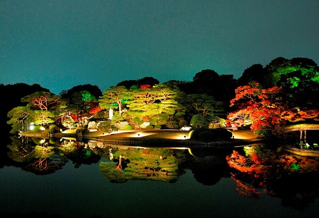 东京六义园灯光活动开幕 红枫叶伴夜灯点亮梦幻夜景