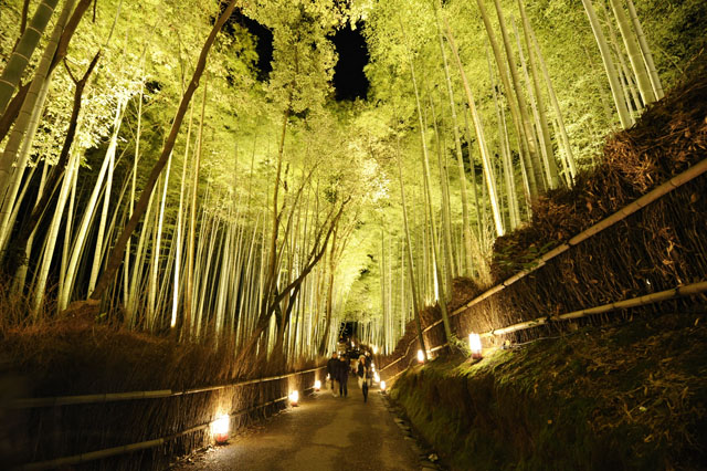 灯彩夜华 京都岚山开启炫目花灯路