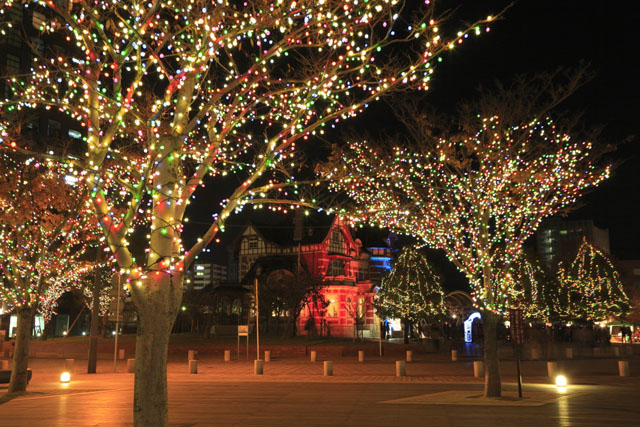 福冈迎新年布浪漫夜景 25万彩灯装点城市街道