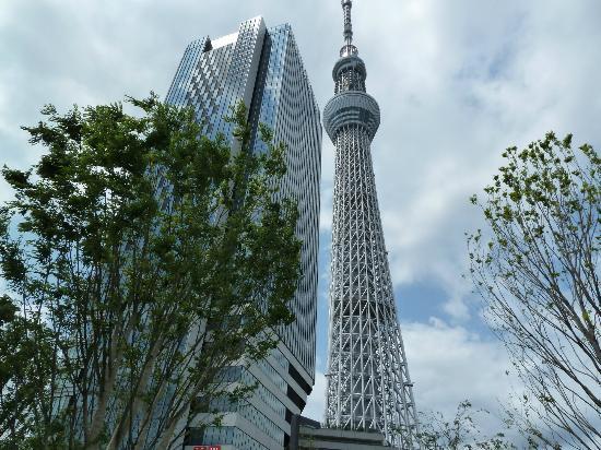 日本都道府县代表观光景点总选举(3)