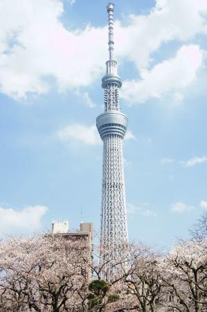 日本都道府县代表观光景点总选举(3)