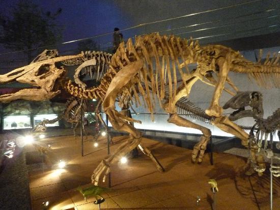 日本都道府县代表观光景点总选举(3)