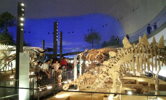 日本都道府县代表观光景点总选举(3)