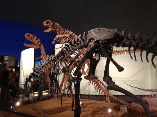 日本都道府县代表观光景点总选举(3)