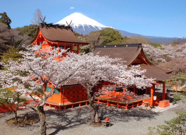 第15届世界遗产考试报名开始 富士山成为考点之一