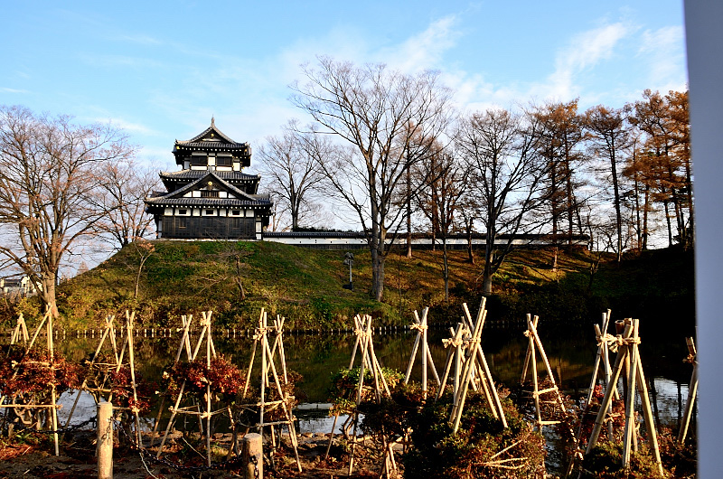 高田公园:享受遗秋的寒水中寄寓的早冬之肃 - 日本通