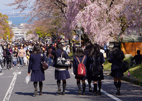 日本4成女高中生每日使用手机超6小时