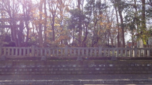 《好想告诉你》圣地巡礼@羽幌篇