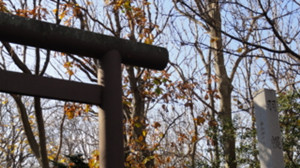 《好想告诉你》圣地巡礼@羽幌篇