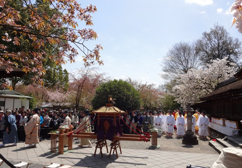 2014京都赏樱去哪儿