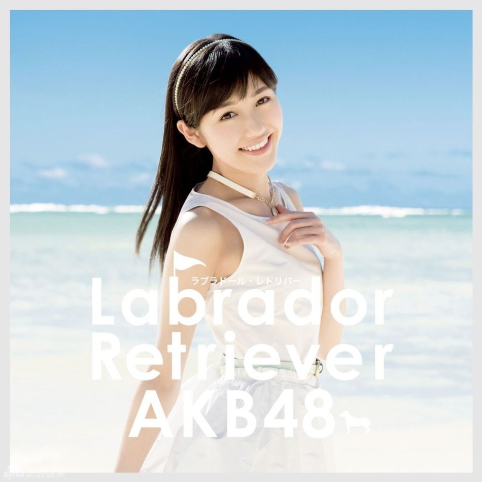 AKB48新单曲《Labrador Retriever》封面照