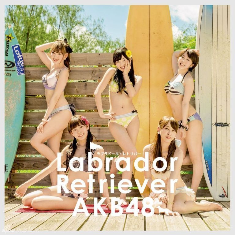 AKB48新单曲《Labrador Retriever》封面照