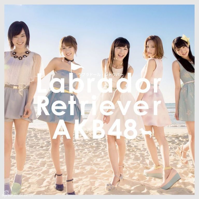 AKB48新单曲《Labrador Retriever》封面照