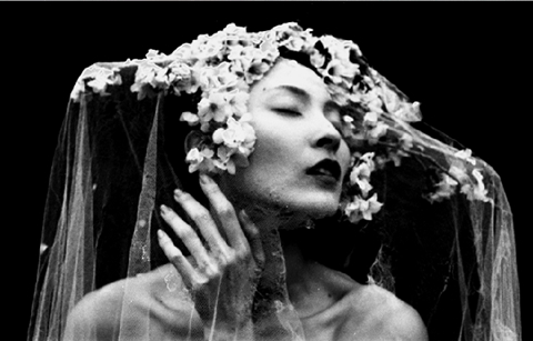 当古典美女遭遇樱花--诠释日本女性之美