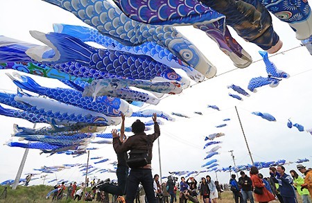 600条鲤鱼旗在宫城县受灾地空中飞扬