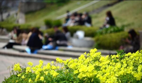 经合组织公布幸福生活指数 日本上升一位至第20