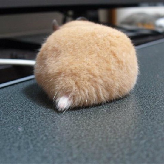 日本掀起拍摄“仓鼠屁屁”风潮 呆萌治愈惹人爱