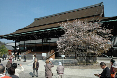 京都市2013年游客数量创历史新高