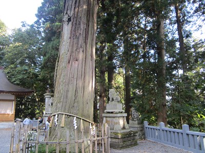 《RDG濒危物种少女》动漫圣地巡礼@长野县户隐神社