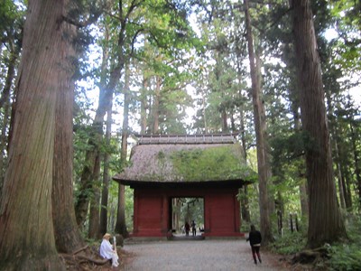 《RDG濒危物种少女》动漫圣地巡礼@长野县户隐神社