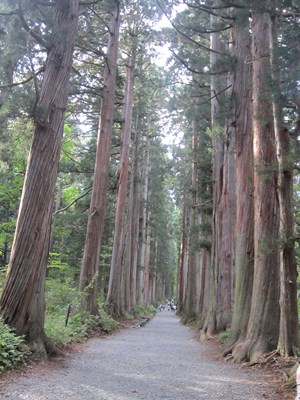 《RDG濒危物种少女》动漫圣地巡礼@长野县户隐神社