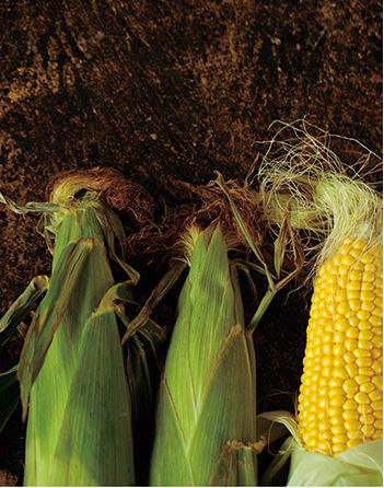 如何挑选和保存上市时间极短的新鲜玉米