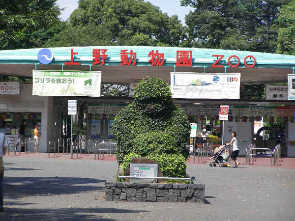 观光旅游好去处—上野动物园