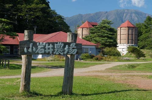 岩手县十大人气景点
