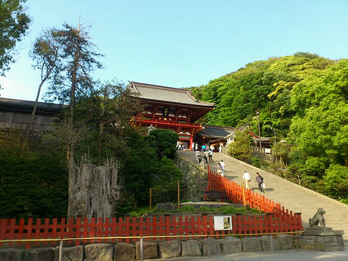 神奈川县十大人气景点