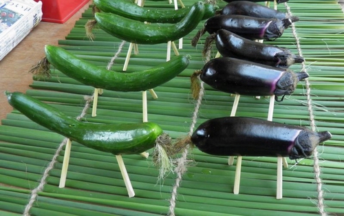 可爱的日本文化   黄瓜茄子的盂兰盆