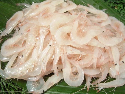 吃遍日本富山篇