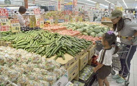 农水省预测9月下半月蔬菜价格将高于往年