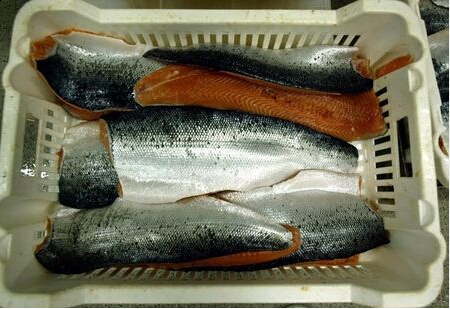 三菱商事将斥巨资收购挪威鲑鱼养殖企业