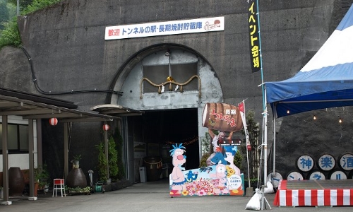 宫崎县十大人气景点