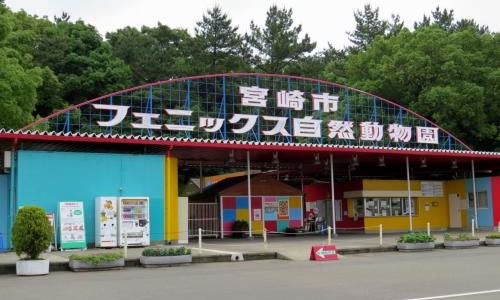 宫崎县十大人气景点