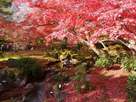 日本调查：秋季约会常出现的意外失败