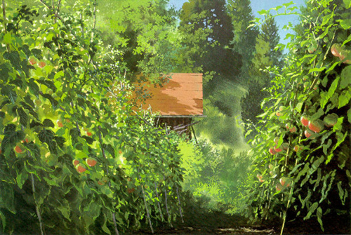 男鹿和雄的清透世界