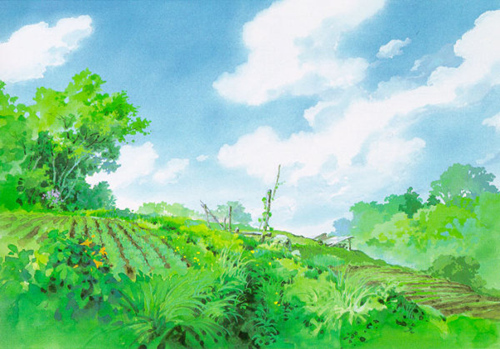 男鹿和雄的清透世界