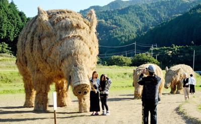 巨型野猪亲子稻草艺术模型惊现爱媛县