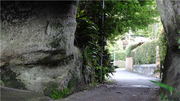 《花舞少女》动漫圣地巡礼@镰仓