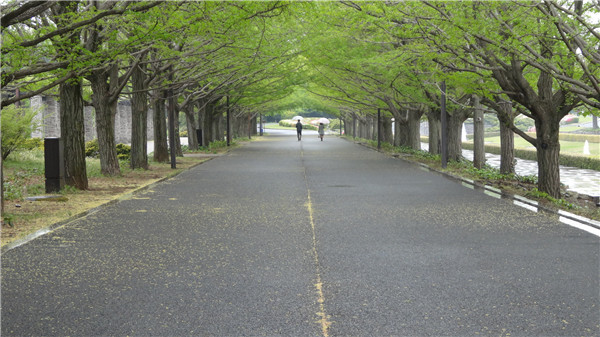 《Kanon》动漫圣地巡礼@守口市