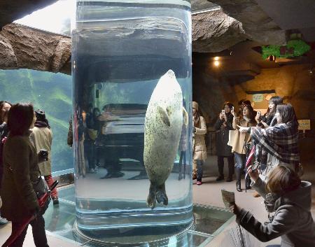 北海道旭山动物园夏季游客同比增长3%