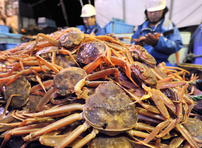 勘察加拟石蟹捕捞解禁 冬季美食将亮相餐桌