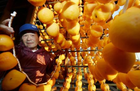福岛县特产柿饼“天干柿”加工进入旺季