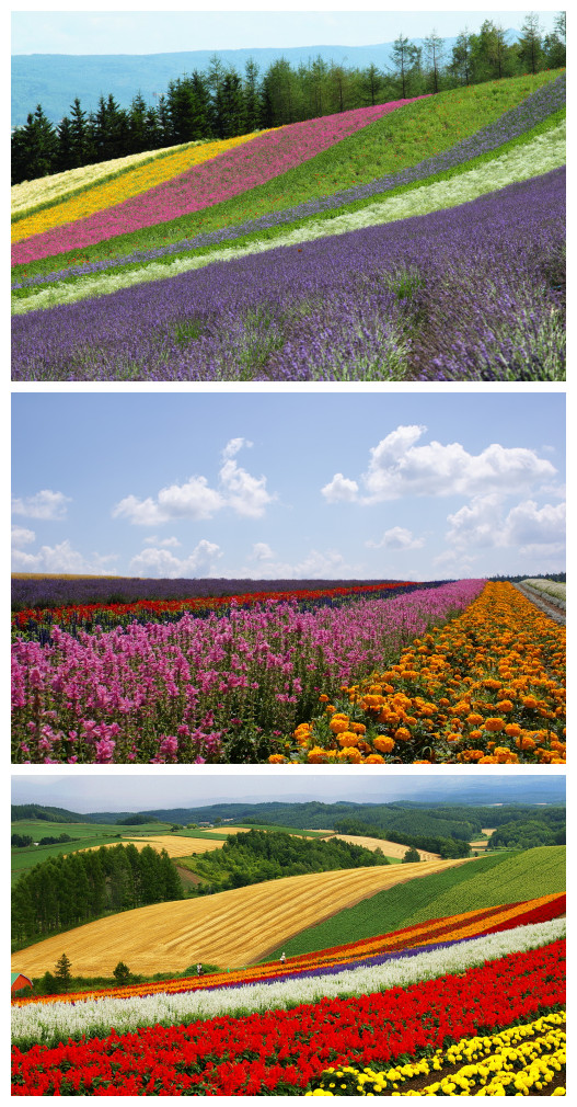 日本必去的旅游景点 北海道篇