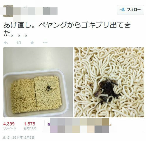 日本方便面被指混入蟑螂 生产商停产排查