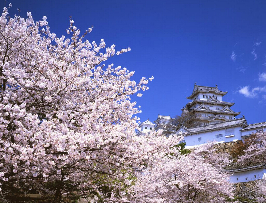 日本旅游接待能力不足致放宽对华签证幅度有限