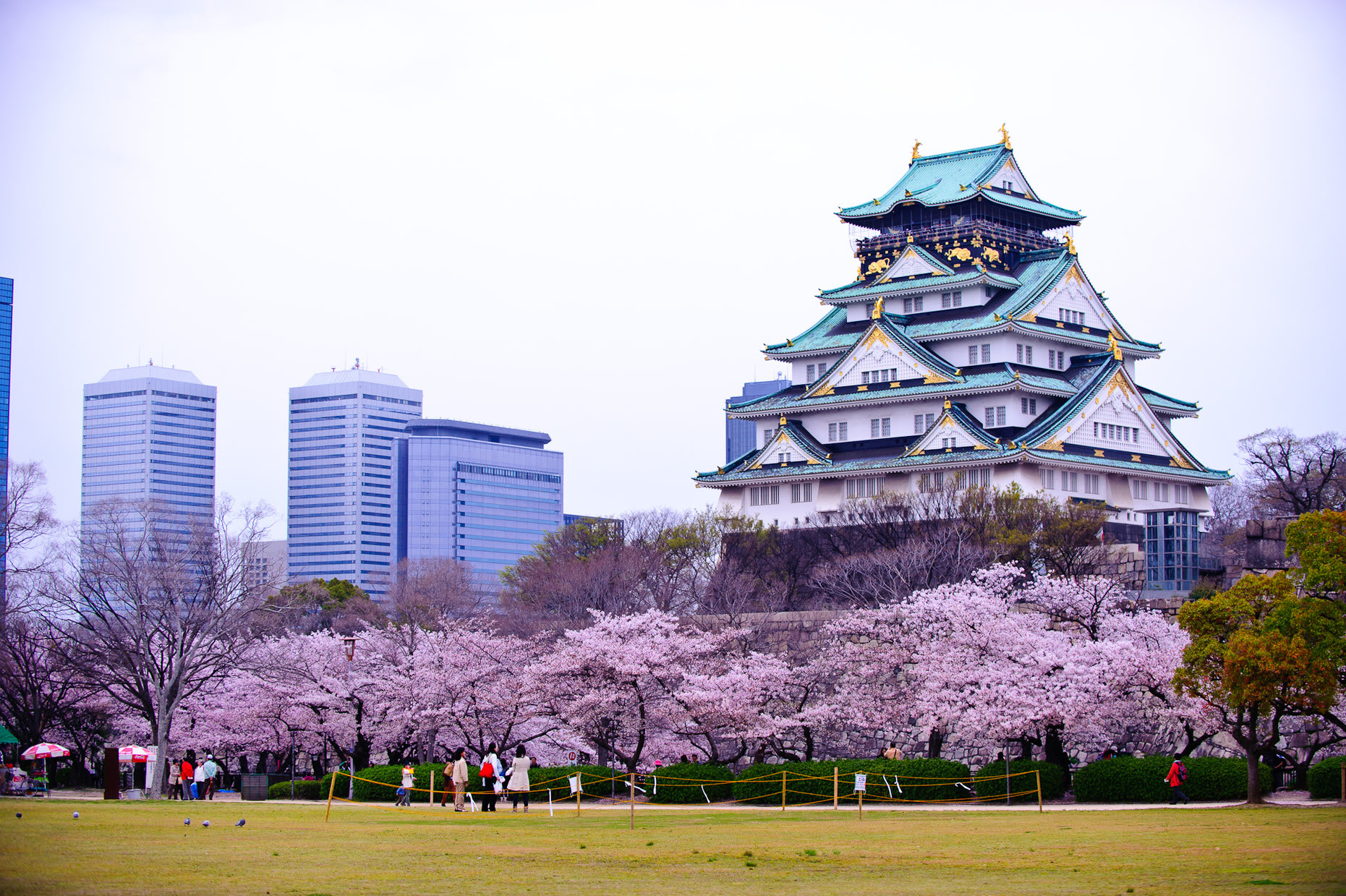 日本再次当选中国游客首选旅游目的地