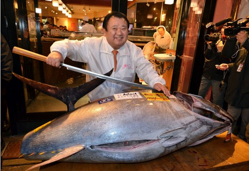 东京筑地市场金枪鱼首拍价格451万日元